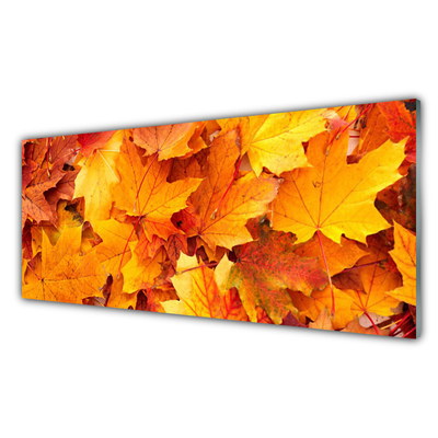 Quadro acrílico Folhas Natureza Planta