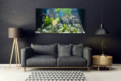 Quadro acrílico Aquário de peixes Natureza