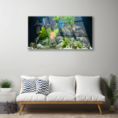 Quadro acrílico Aquário de peixes Natureza