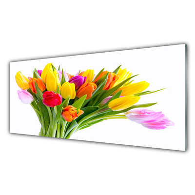 Quadro acrílico Tulipas Flores Planta