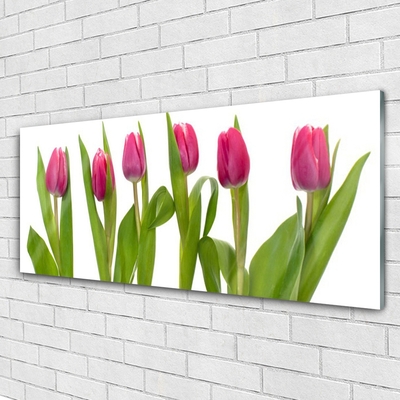 Pintura acrílica Tulipas Flores Planta