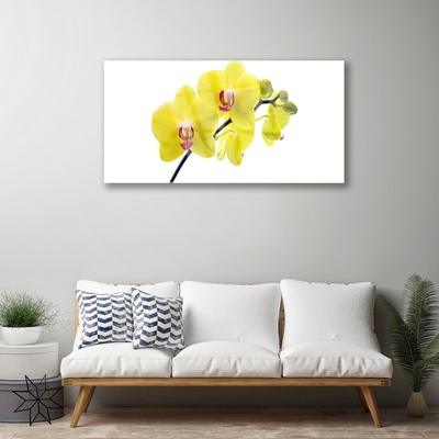 Quadro acrílico Flores Planta Natureza