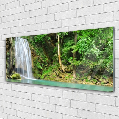 Quadro acrílico Cachoeira Floresta Natureza