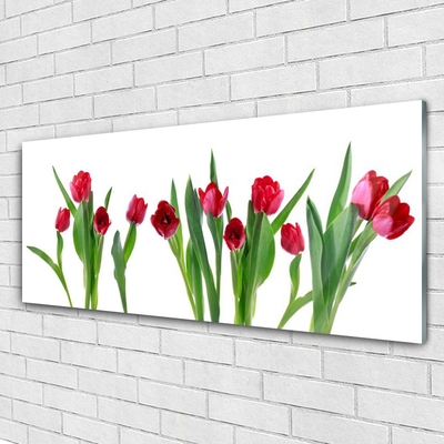 Quadro acrílico Tulipas Flores Planta