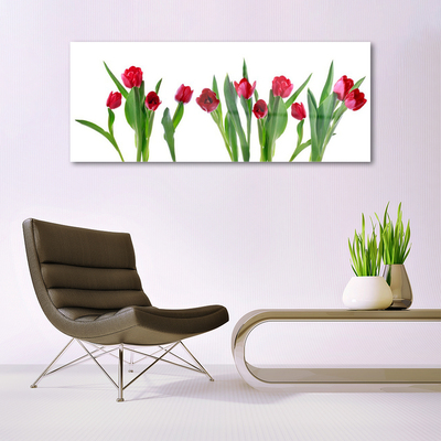 Quadro acrílico Tulipas Flores Planta