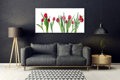 Quadro acrílico Tulipas Flores Planta