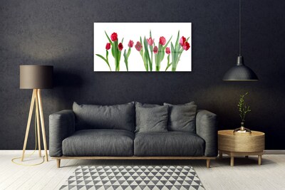 Quadro acrílico Tulipas Flores Planta