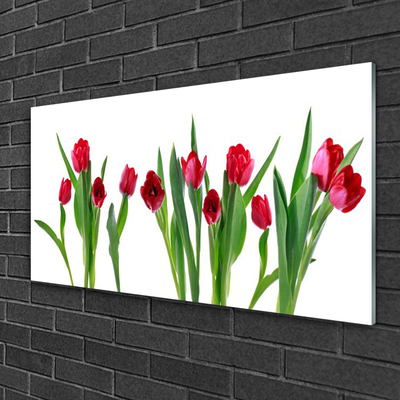 Quadro acrílico Tulipas Flores Planta