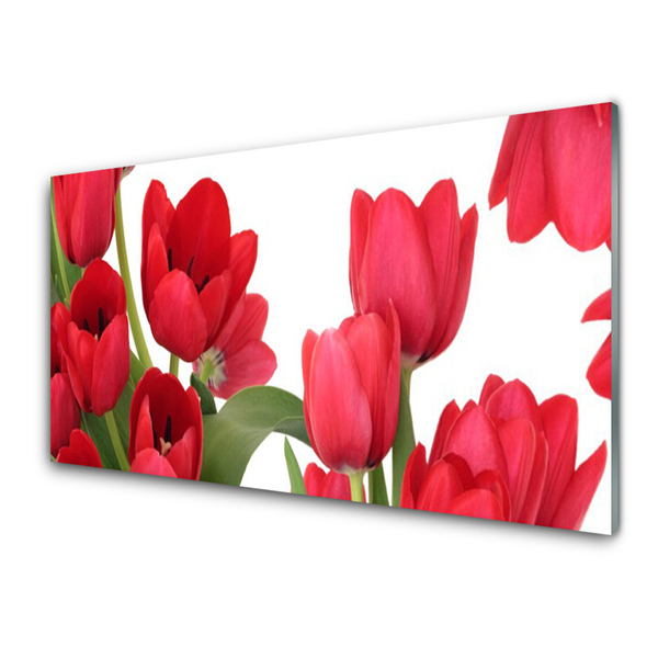 Quadro acrílico Tulipas Flores Planta