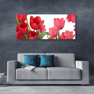 Quadro acrílico Tulipas Flores Planta
