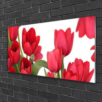 Quadro acrílico Tulipas Flores Planta