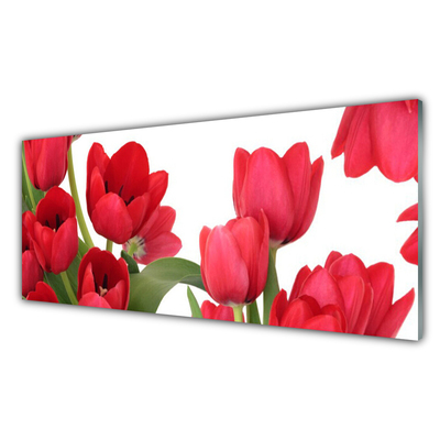 Quadro acrílico Tulipas Flores Planta