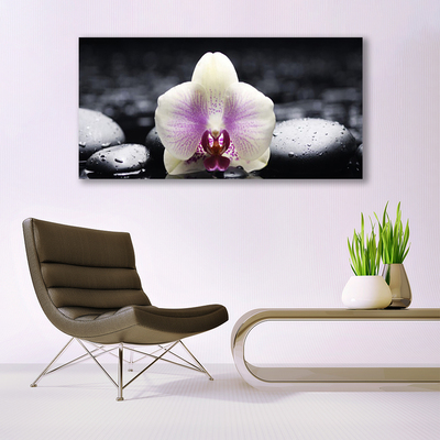 Pintura acrílica Planta de orquídea flor