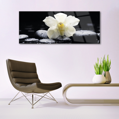 Quadro acrílico Planta de orquídea flor