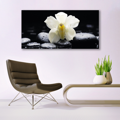 Quadro acrílico Planta de orquídea flor