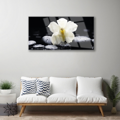 Quadro acrílico Planta de orquídea flor