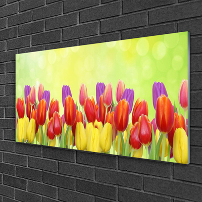 Pintura acrílica Tulipas Flores Planta