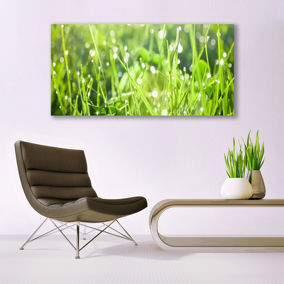 Quadro acrílico Natureza da planta grama