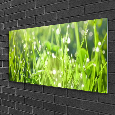Quadro acrílico Natureza da planta grama