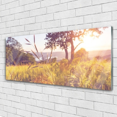 Quadro acrílico Prado Grama Árvore Natureza