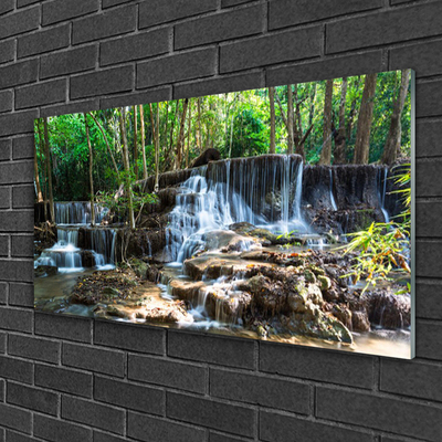 Quadro acrílico Cachoeira Floresta Natureza