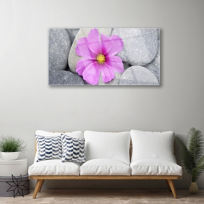 Quadro acrílico Planta de spa de flores