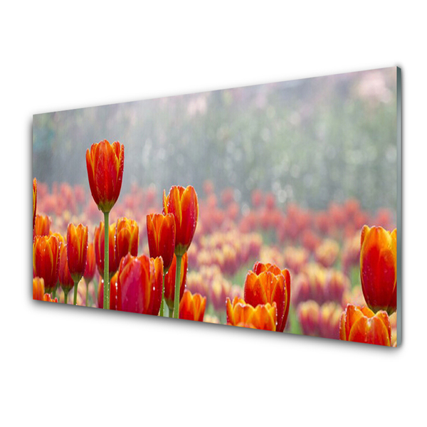 Quadro acrílico Tulipas Flores Planta