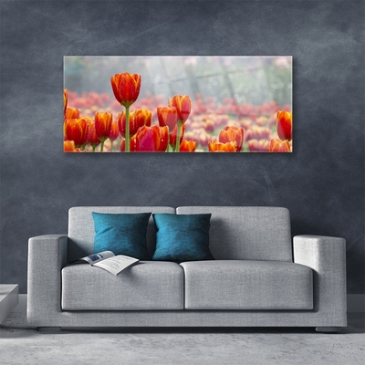 Quadro acrílico Tulipas Flores Planta