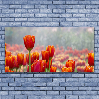 Quadro acrílico Tulipas Flores Planta