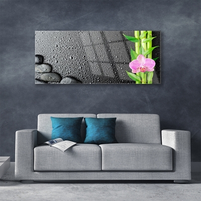 Quadro acrílico Planta de flor de caule de bambu