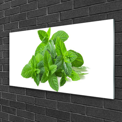 Quadro acrílico Planta de Hortelã Natureza