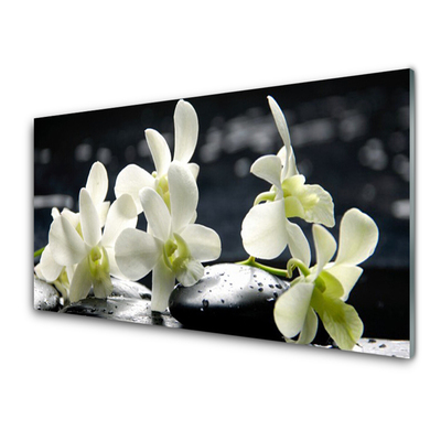 Quadro acrílico Planta de orquídea flor