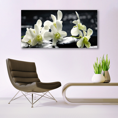 Quadro acrílico Planta de orquídea flor