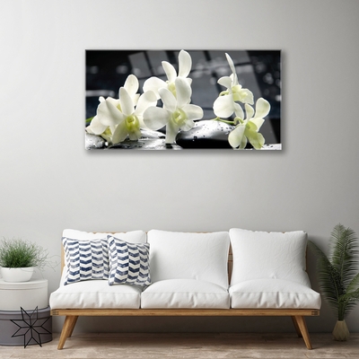 Quadro acrílico Planta de orquídea flor