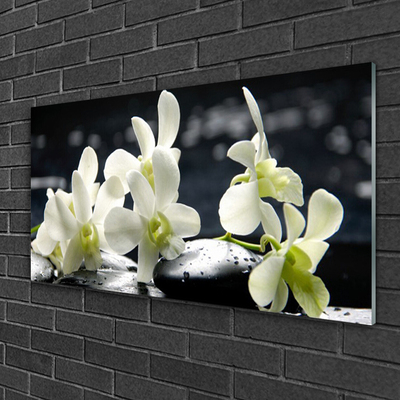 Quadro acrílico Planta de orquídea flor