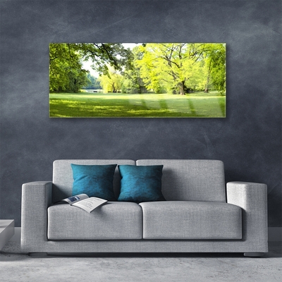 Quadro acrílico Parque das Árvores de Grama Natureza