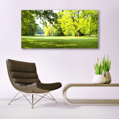 Quadro acrílico Parque das Árvores de Grama Natureza