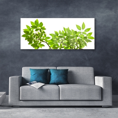 Quadro acrílico Ramo Folhas Planta Natureza