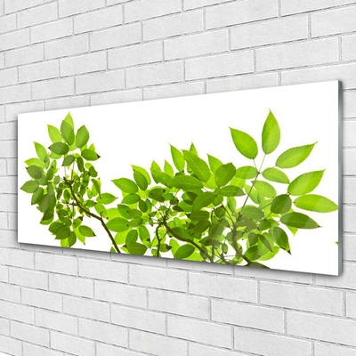 Quadro acrílico Ramo Folhas Planta Natureza