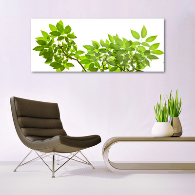 Quadro acrílico Ramo Folhas Planta Natureza