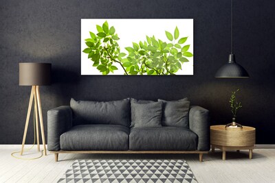 Quadro acrílico Ramo Folhas Planta Natureza