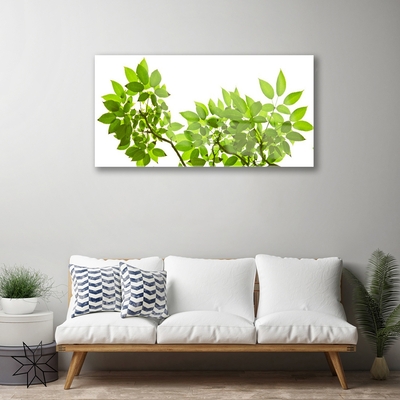 Quadro acrílico Ramo Folhas Planta Natureza