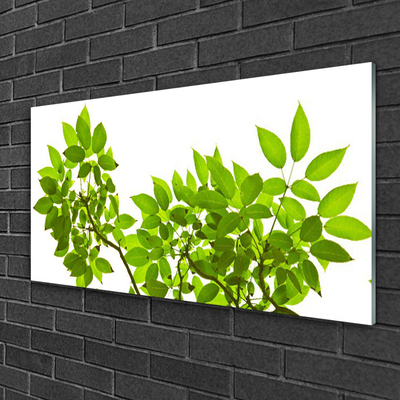 Quadro acrílico Ramo Folhas Planta Natureza