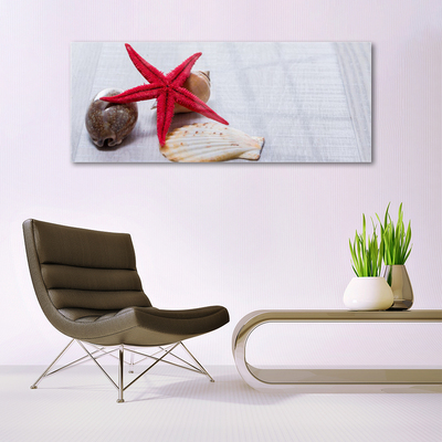 Quadro acrílico Arte de conchas de estrelas do mar