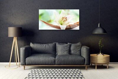 Pintura acrílica Flor Planta Natureza