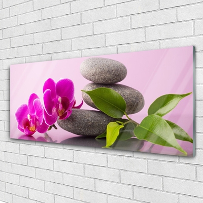 Quadro acrílico Flor Orquídea Planta Zen