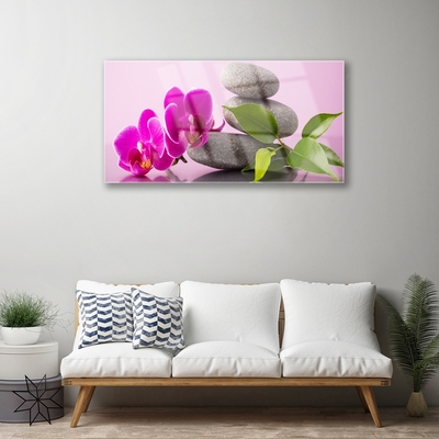 Quadro acrílico Flor Orquídea Planta Zen