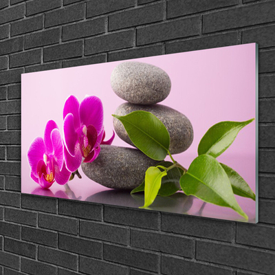 Quadro acrílico Flor Orquídea Planta Zen