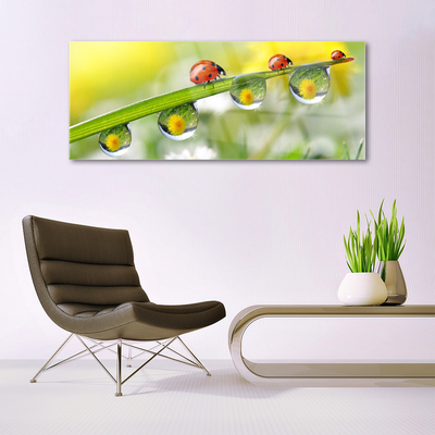 Pintura acrílica Joaninha Folha Natureza