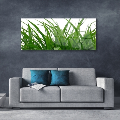 Quadro acrílico Natureza da planta grama